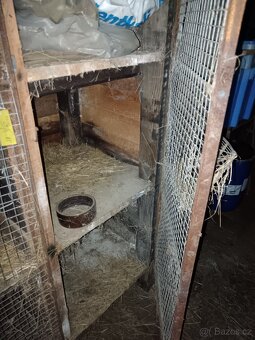 králíkárna - 5