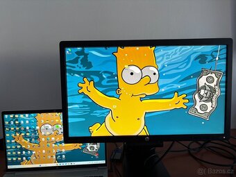 HP EliteDisplay E231 - 5