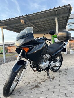 Honda Varadero XL 125 (A1 řidičák) - 5
