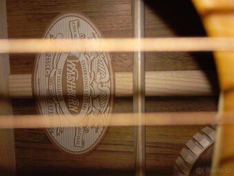 Prodám novou kytaru WASHBURN HERITAGE HG26SCE-O - 5