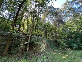 Malebný pozemek 2217 m2 u Prahy - Kamenný Přívoz - 5