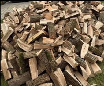 Palivové dřevo tvrdé - 5