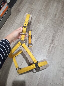 Ohlavka eskadron Vintage gold - 5