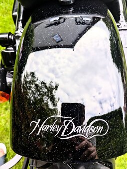 Harley Davidson Forty Eight 1200 - 5