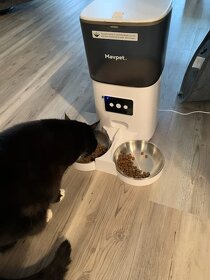 Automatické krmítko / zásobník pro psy a kočky - 5
