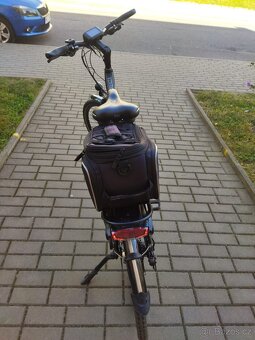 Leader Fox Forenza, model 2018 - 5