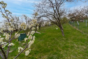 ⭕️PRODEJ RD BORŠICE U BLATNICE - 5