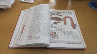 Morfologie Hospodářských zvířat - F.Marvan - 5