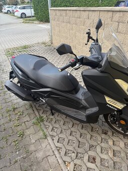 2024 Maxon 125 Optimus - 5