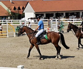 13.letý valach - 5