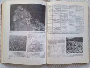 Stratigrafická a historická geológia, Mišík, Chlupáč, Cicha - 5