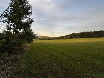 Prodej lesa 880m2 Radkovice - 5