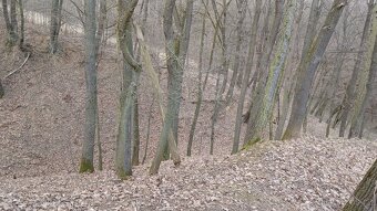 Jalubí - místo pro odpočinek - 5