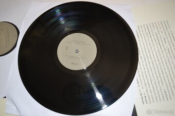 The Smashing Pumpkins – Greatest hits rare vinyl 2lp Set - 5
