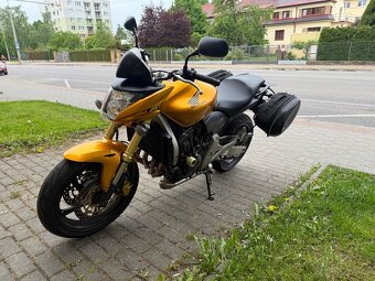 Honda hornet 600 TOP STAV 16xxx KM - 5