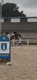 Líbivá ryzka na prodej - 5