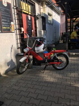 Babeta 207 - 5