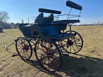 Drezurní kočár - 5