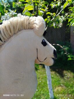 Hobby horse - 5