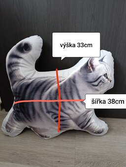 Britská kočka polštářky - 5