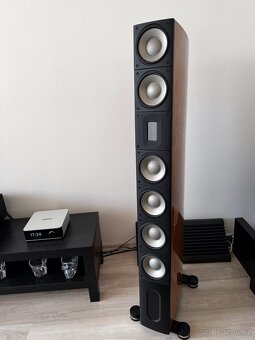 Raidho XT-5 Maple Pasivní Reprosoustava - 5