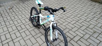 Superior paint 20 - 5