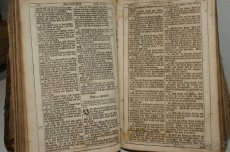 Bible - - 5