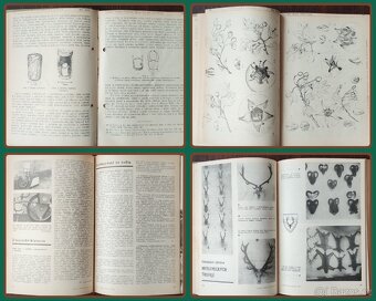 Časopis Lesnická práce - r. 47,62-71 (archiv) - 5