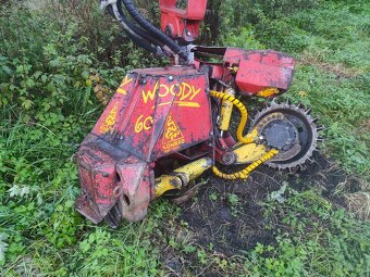 Woody 60 - 5