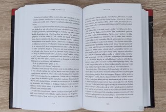 Zmizelá - Gillian Flynn - 5