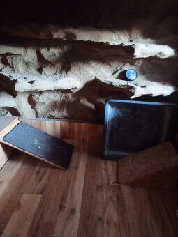 Prodám velké terárium - 5