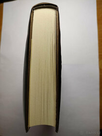 20. oběť (James Patterson, Maxine Paetro) - 5