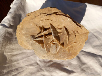 Minerál, nerost, sádrovec - pouštní růže 2 - 5