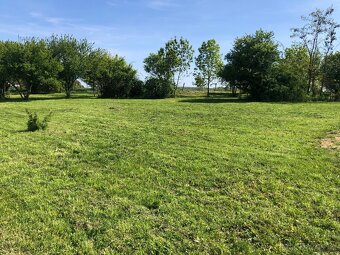 Pronájem zahrady ve Zdibech – 500 m², krásné prostředí - 5