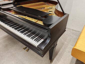 C.Bechstein model A - 5