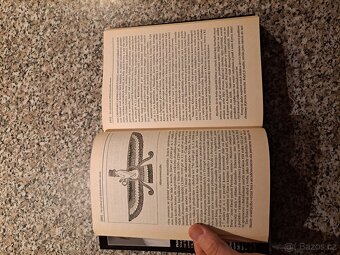 Královský pitaval: Kralovraždy ve světových dějinách - Ervín - 5