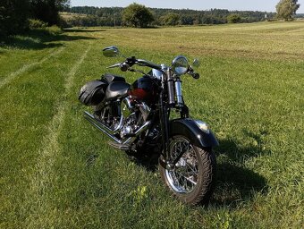 Harley Davidson FLSTS Heritage Springer - 5