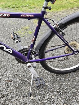 Dětské kolo Alpina - 5