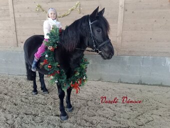 Sháním parťáka na druhého koně - 5