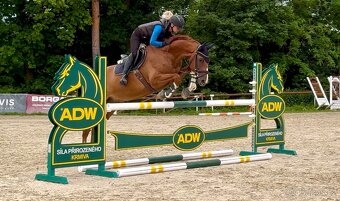 Valach 2020 po For Treasure VDL - 5