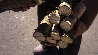 Štěpkovač špalíkovač za traktor s řemenovým převodem - 5