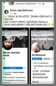 kočka Jihlava - 5