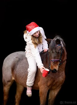 Pony A - Merci - 5