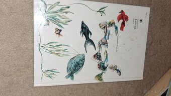 Rybičky kniha jako nová 90kč - 5