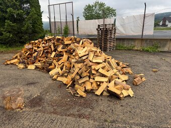 Palivové dřevo - 5