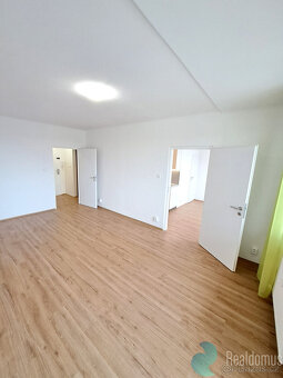 Pronájem, 1+1, s balkonem, rekonstrukce, Kubatova - 5