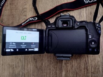 Canon EOS 250D + EF-S 18-55 mm - 5