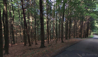 K prodeji lesní pozemky, Hartinkov, okres Svitavy - 5