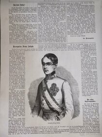Jubileum - památník - Franz Joseph - noviny - 1873 - 5