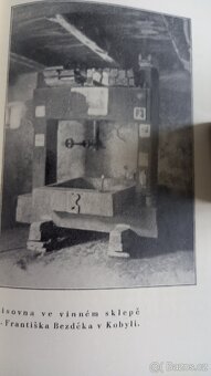 B.Mrštíková-Vzpomínky Ill-IV - 5